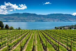 best wineries in kelowna.