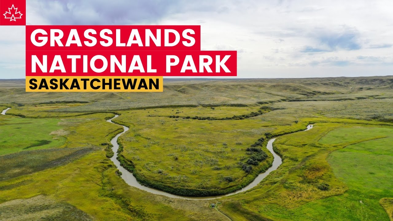Saskatchewan Travel Guide: GRASSLANDS NATIONAL PARK (Canada)
