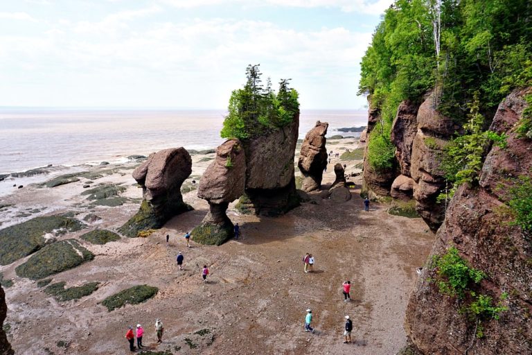 110 Fun and Interesting New Brunswick Facts Must Do Canada