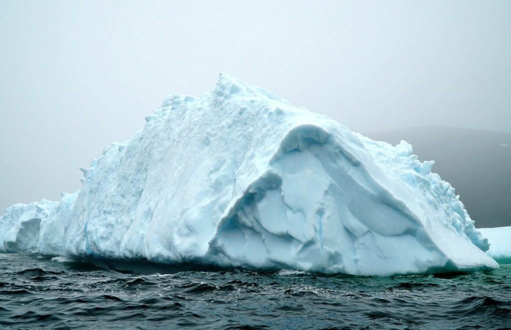 newfoundland iceberg alley