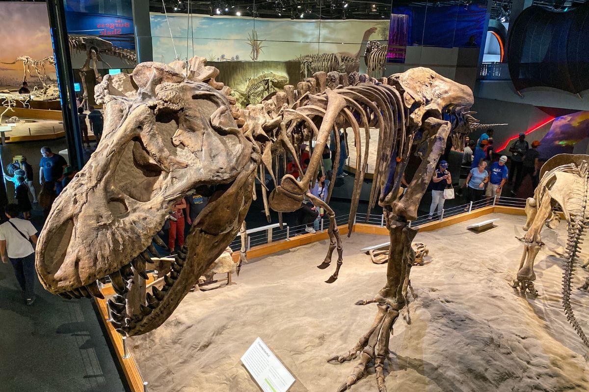 Things to Do in Drumheller, Alberta.