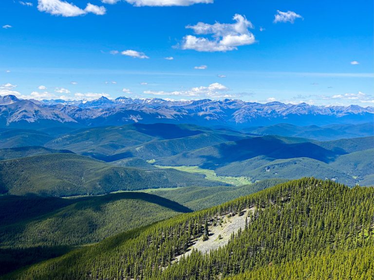 9 Fun Things to Do in