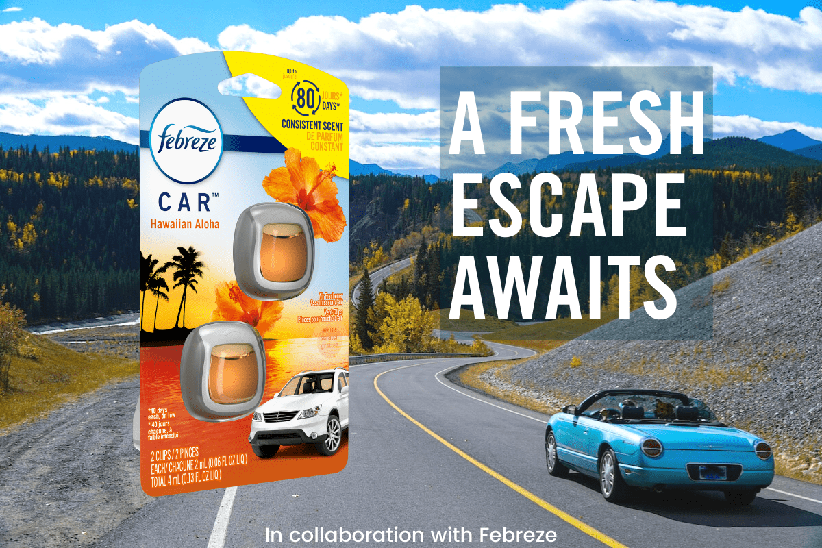 33 Road Trip Essentials