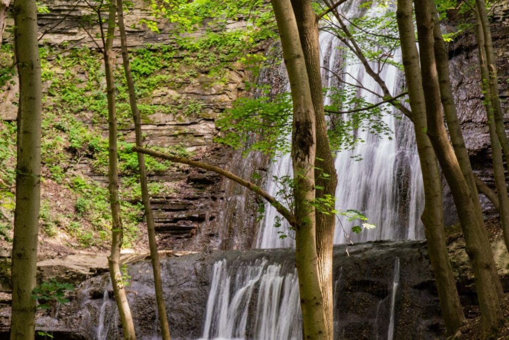 Admiring waterfalls is one of the top things to do in Hamilton.