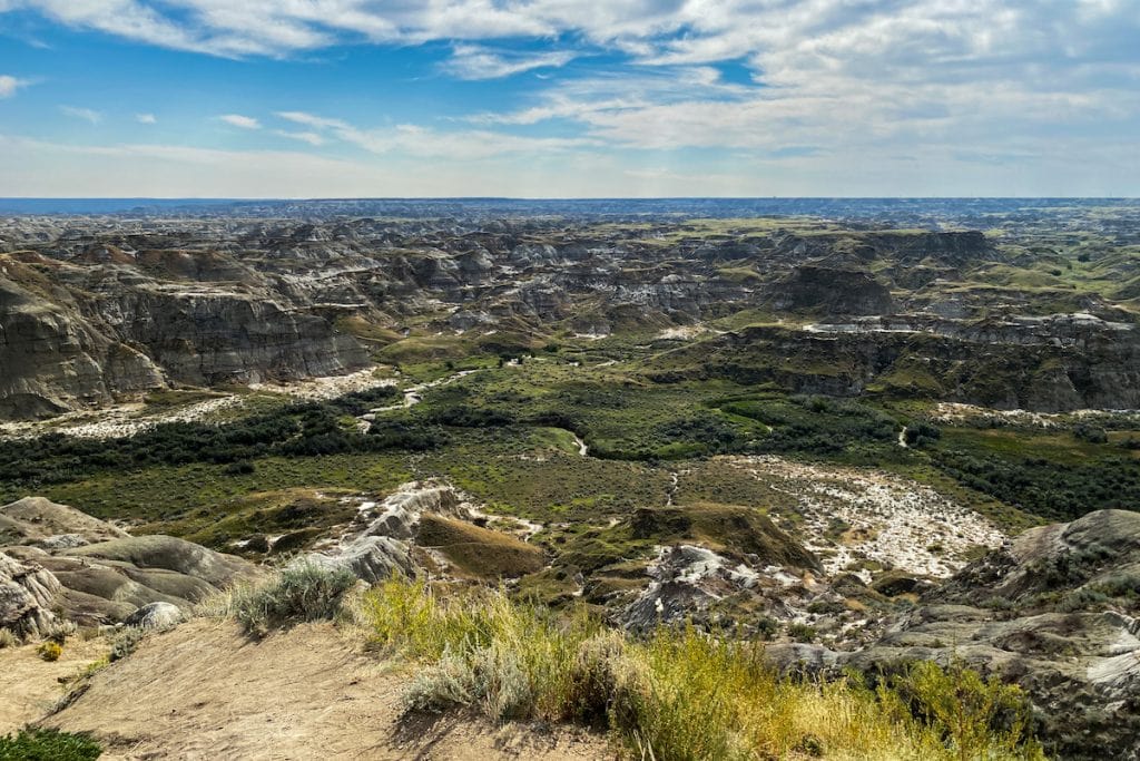 This is the first viewpoint before making your way down into Dinosaur Provincial Park.
