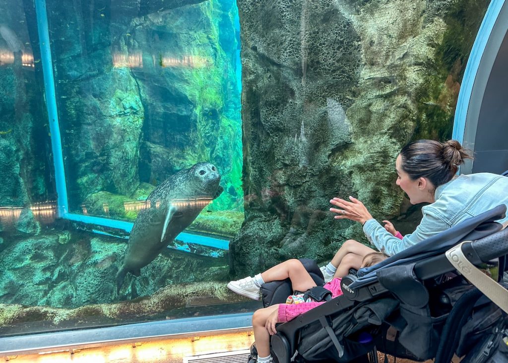 Visiting the Assiniboine Park Zoo is one of the best things to do in Winnipeg.