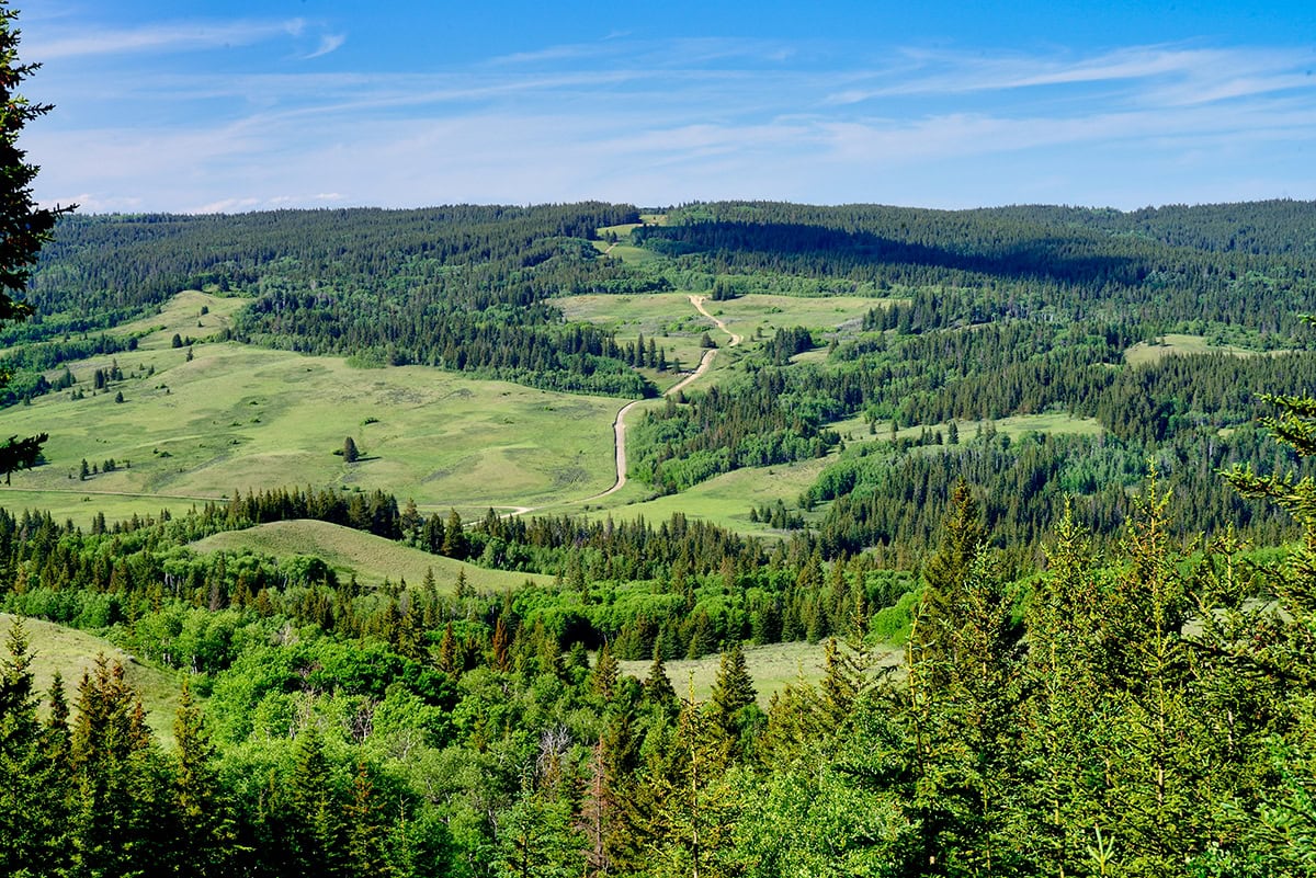 Exploring Cypress Hills Saskatchewan Must Do Canada
