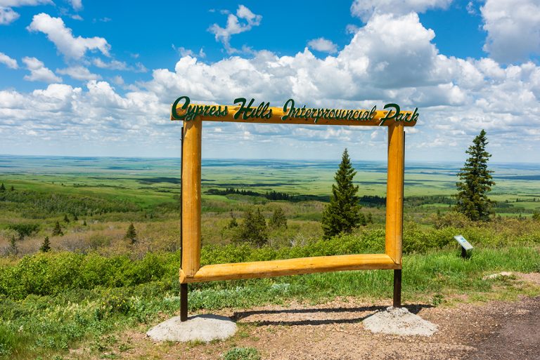 Exploring Cypress Hills Saskatchewan Must Do Canada