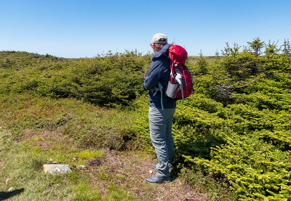 Exploring Newfoundland.
