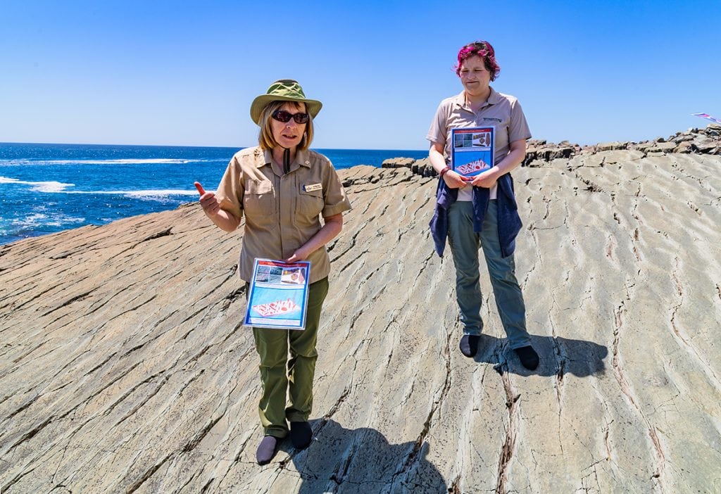Mistaken Point Guided hikes