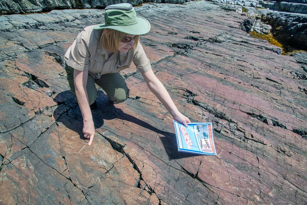Guided Hiking at Mistaken Point, Newfoundland.