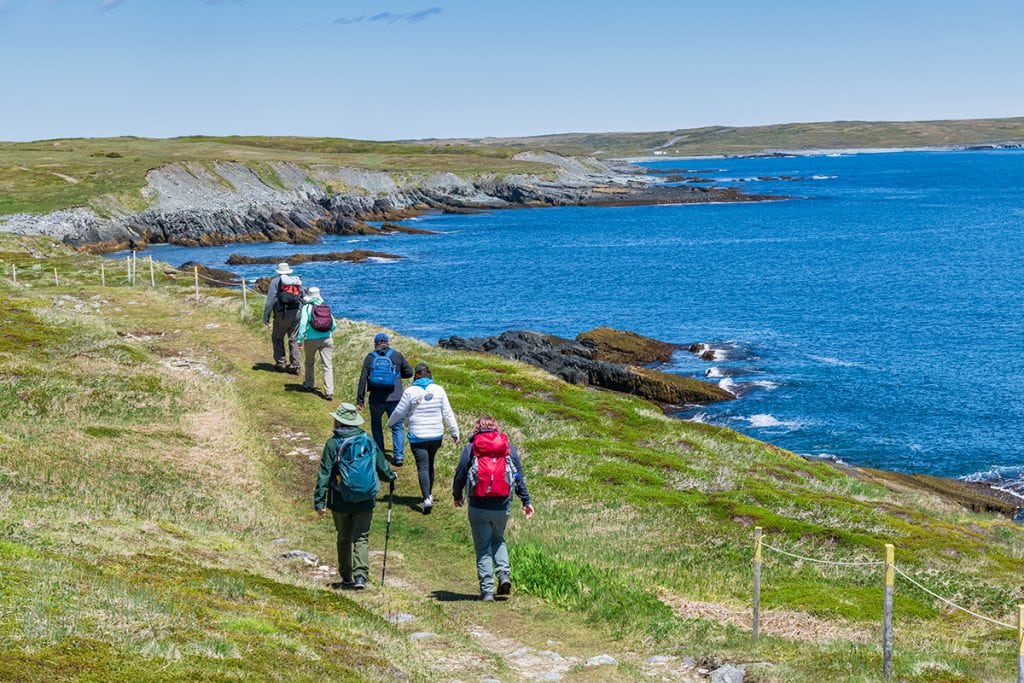 Mistaken Point is a great place for hiking in Newfoundland.