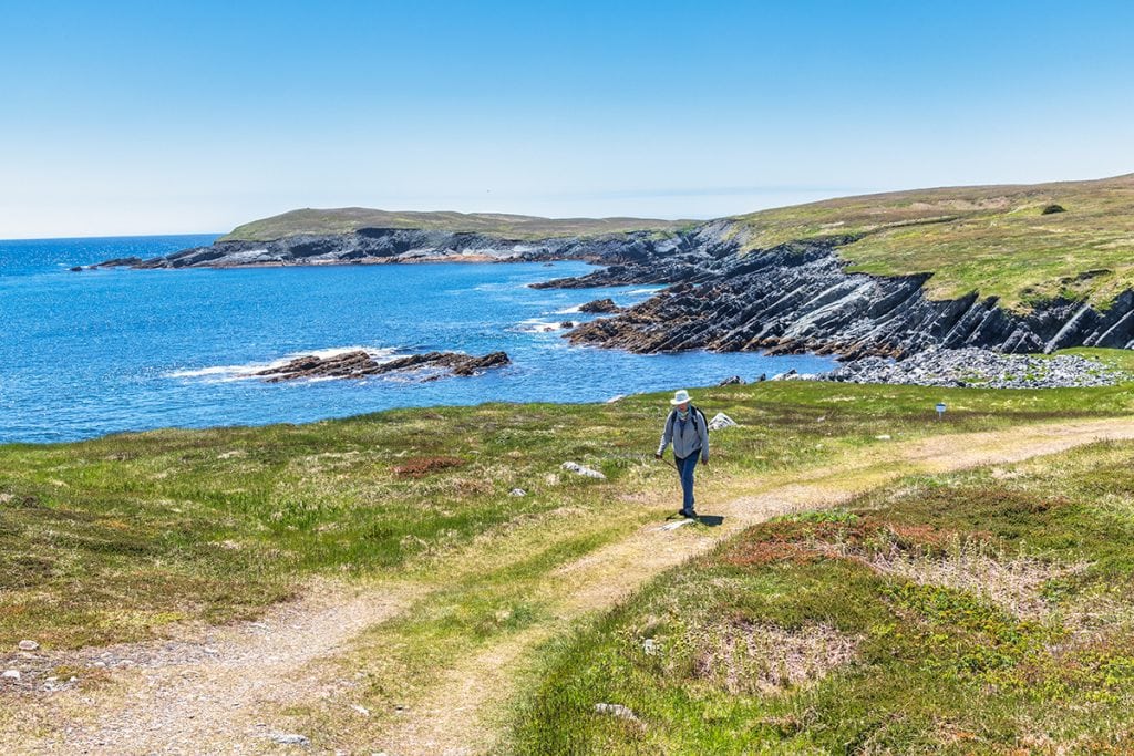 Mistaken Point, Newfoundland, Canada.