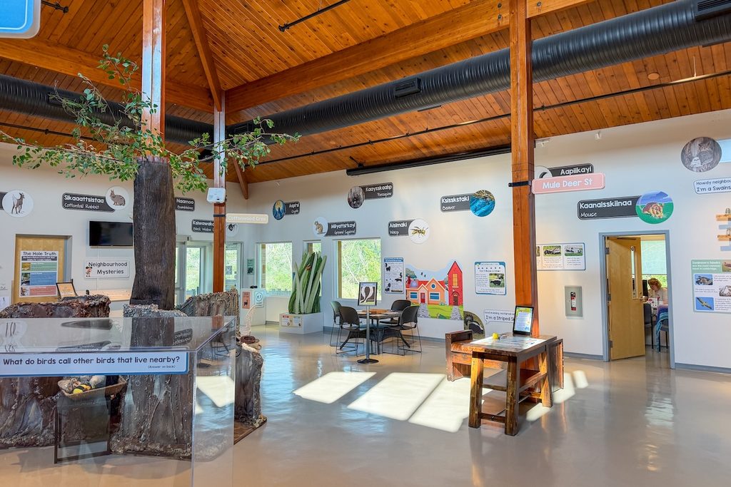 Inside the Helen Schuler Nature Centre.
