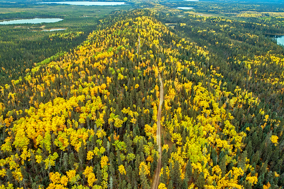 8 Places To Find The Best Fall Colours In Saskatchewan Must Do Canada 8-places-to-find-the-best-fall-colours-in-saskatchewan-must-do-canada