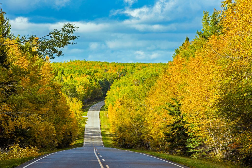 Hwy #263 through Prince Albert National Park
