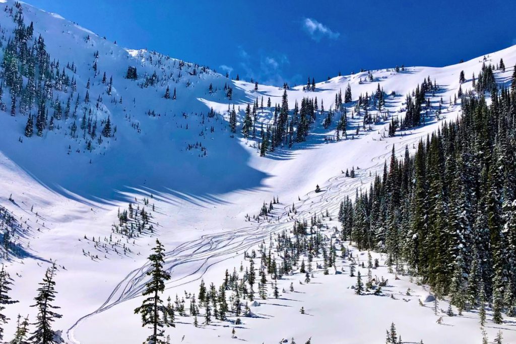 Valhalla Mountain Touring offers incredible trips for ski enthusiasts.