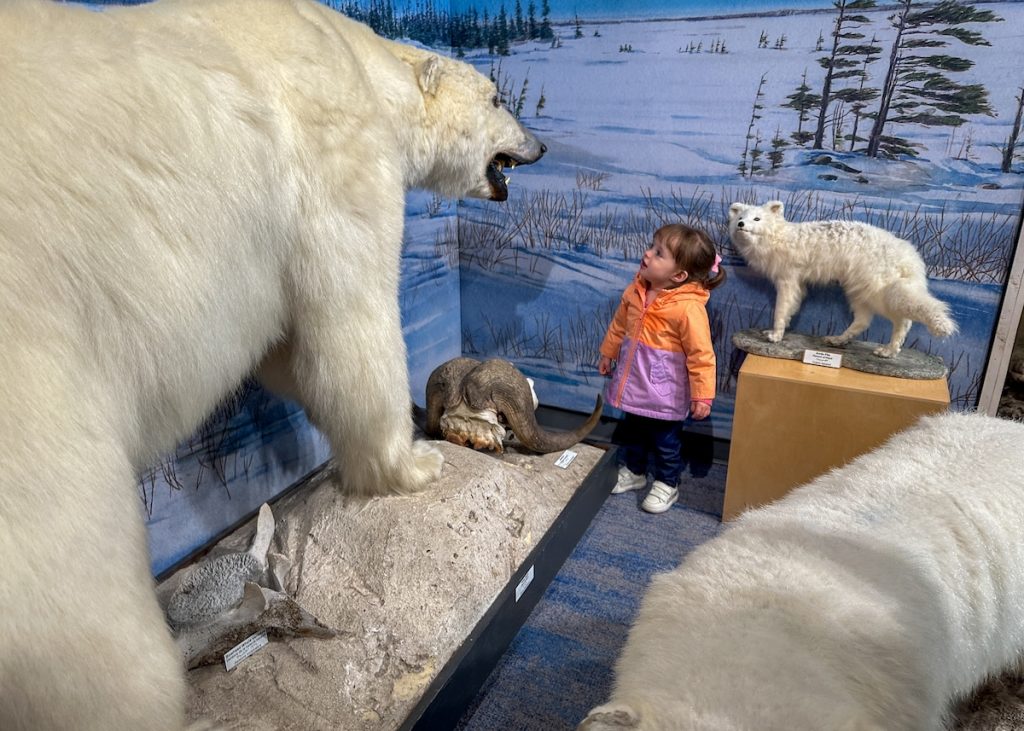 Fort Whyte Alive is one of the best things to do in Winnipeg for those seeking the outdoors.