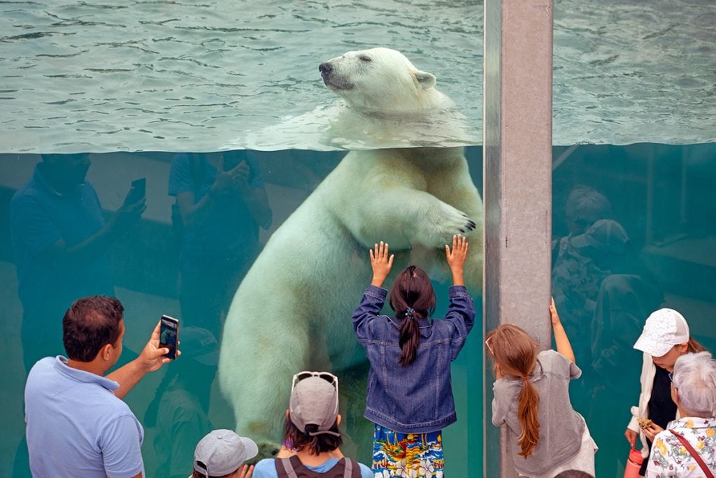 Saint-Félicien Wild Zoo, Quebec