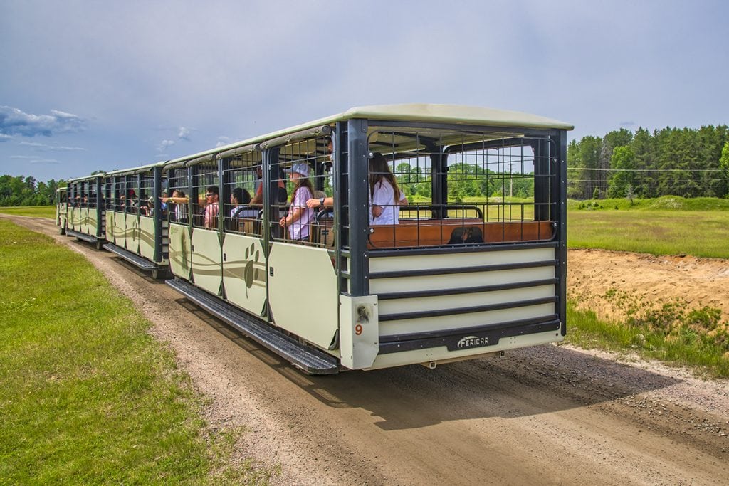 Saint-Félicien Wild Zoo, Quebec.