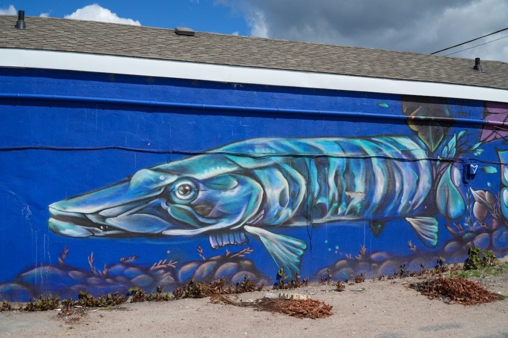 Admiring one of the many murals in downtown North Bay, Ontario.