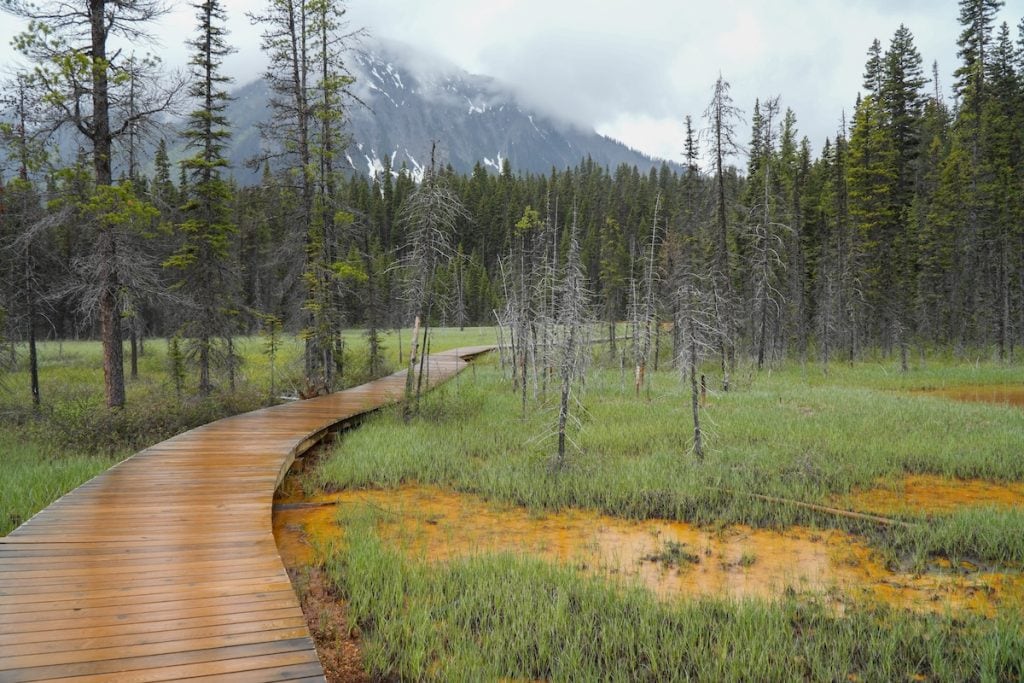 Paint Pots is an easy and beautiful hike in Kootenay National Park.