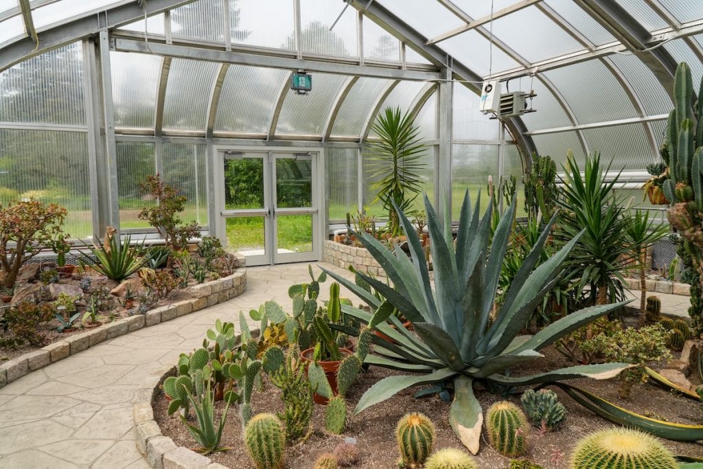 The Centennial Botanical Conservatory is a beautiful free indoor escape in Thunder Bay.